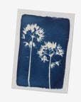 cyanotype kit