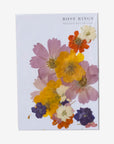 pressed flowers