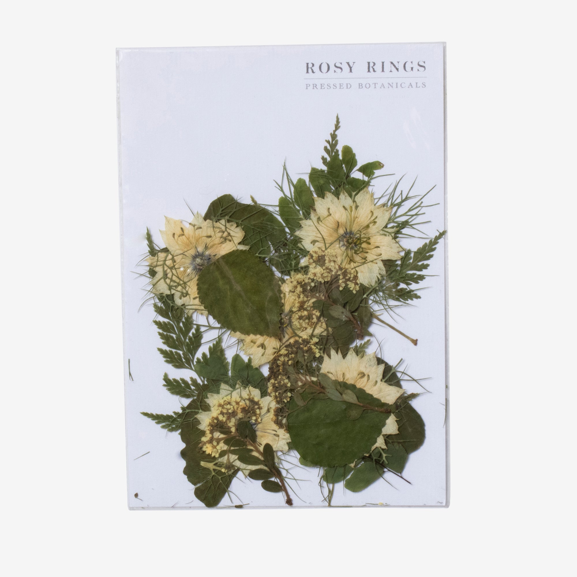 pressed flowers