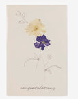 flower pressed greeting cards