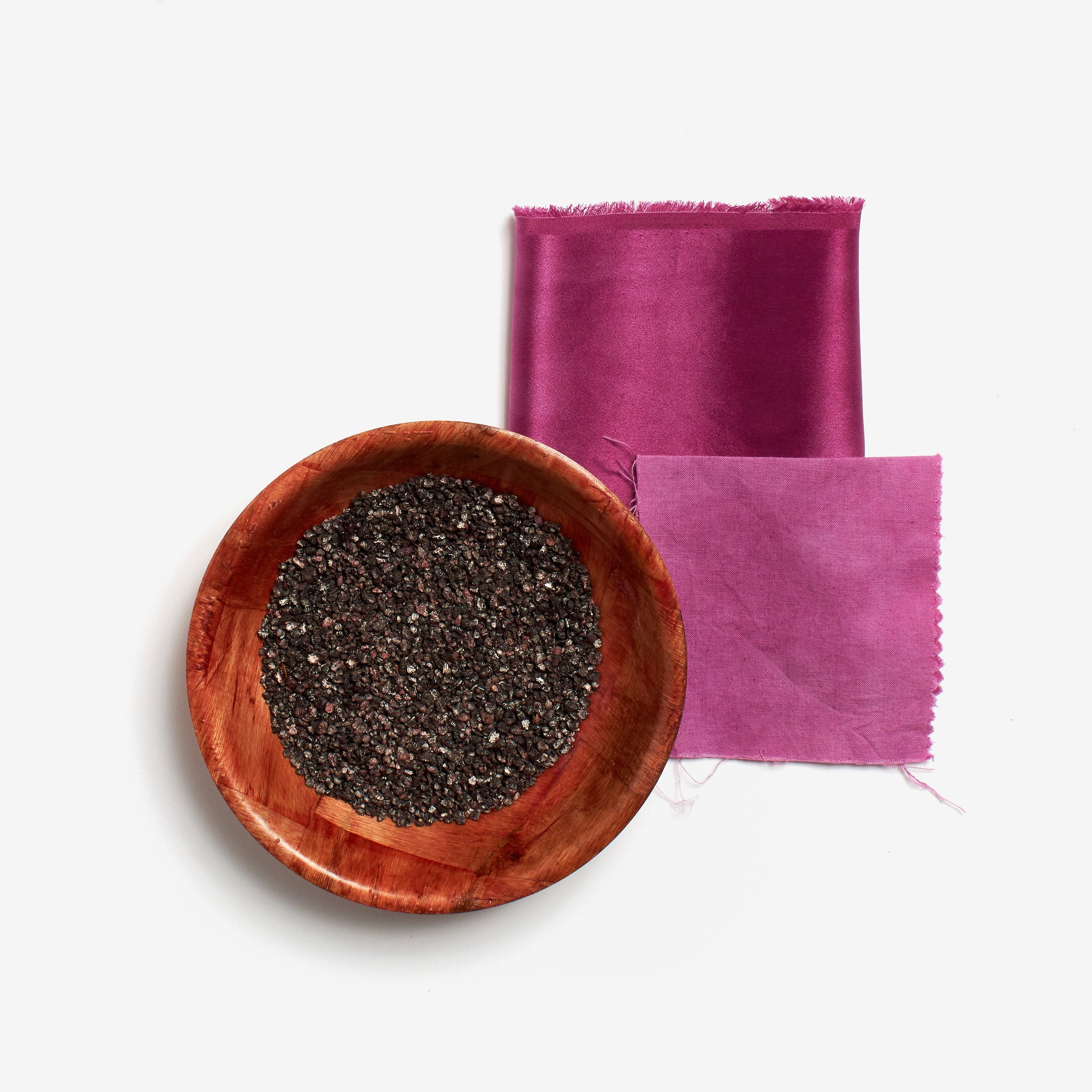 cochineal-whole-bug-modest-transitions