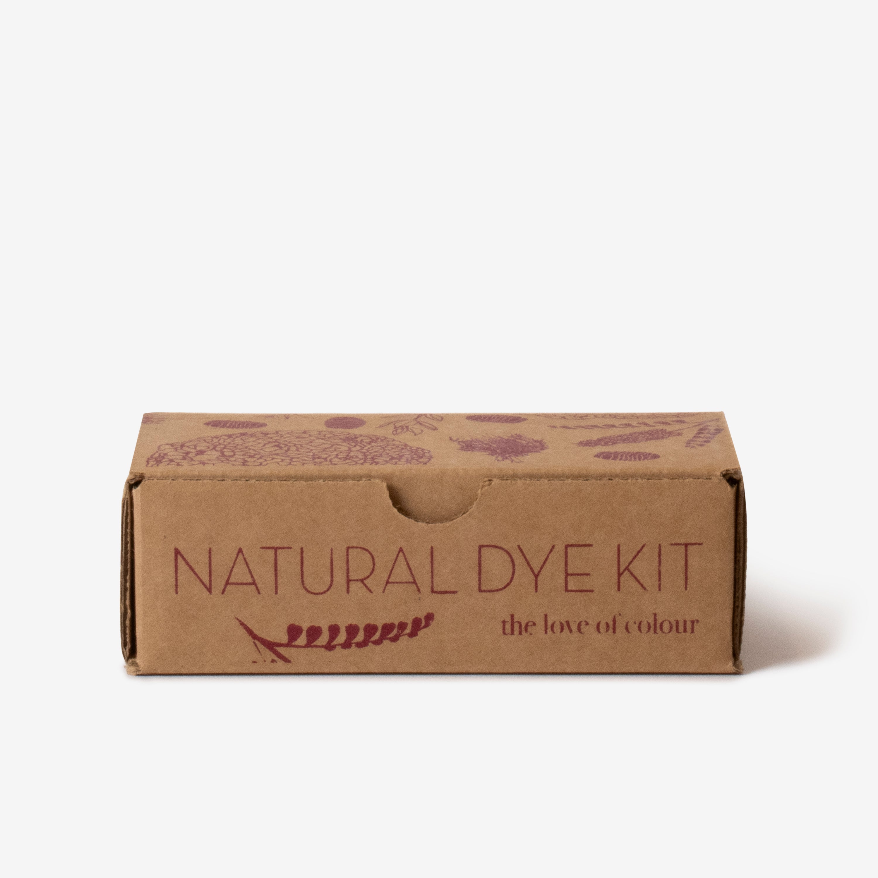 natural dye kit