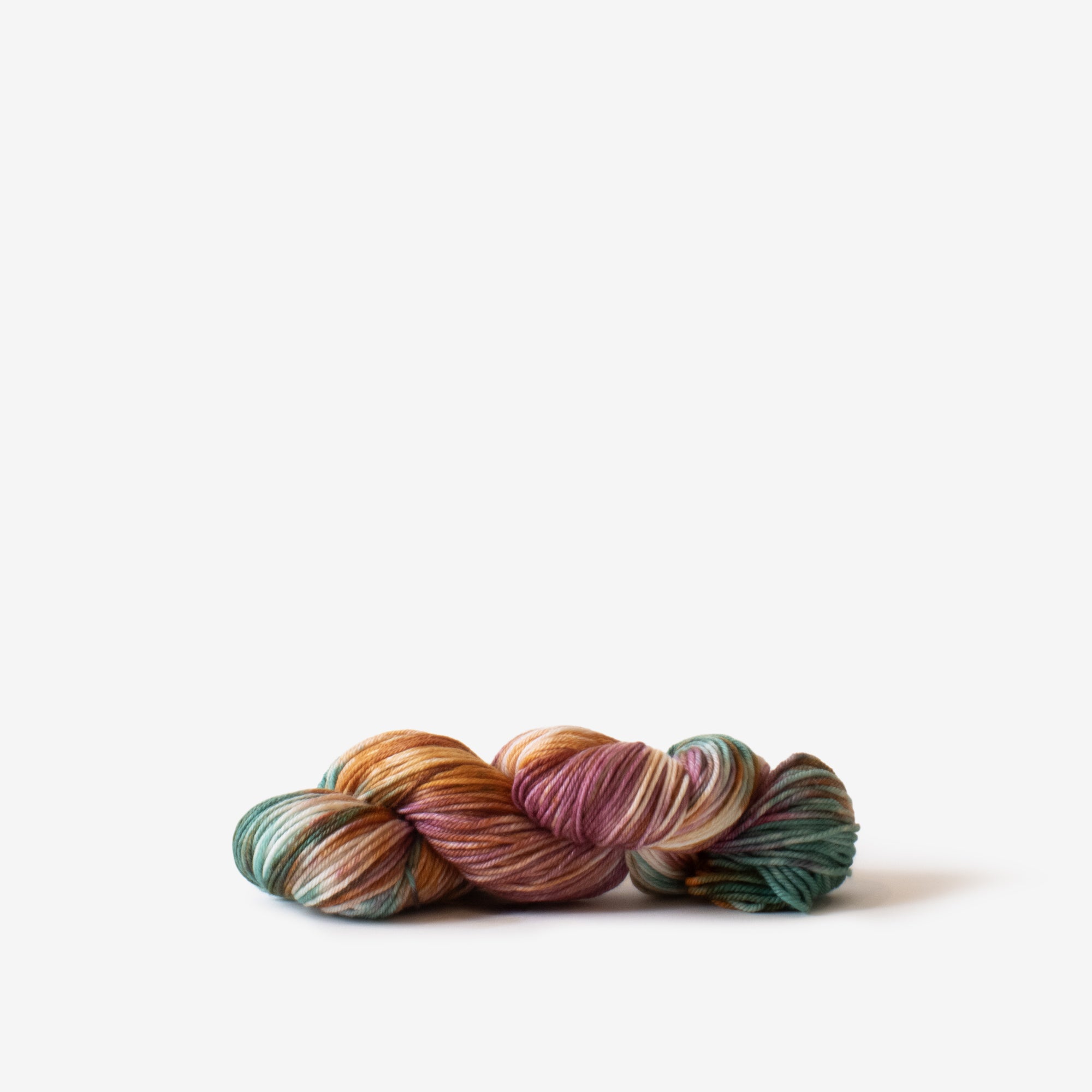 alegria grande (10+ colors)