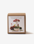 felting kits