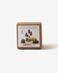 felting kits